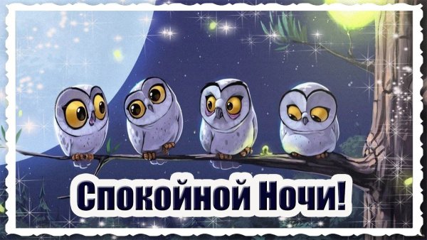 Спокойной ночи Сова