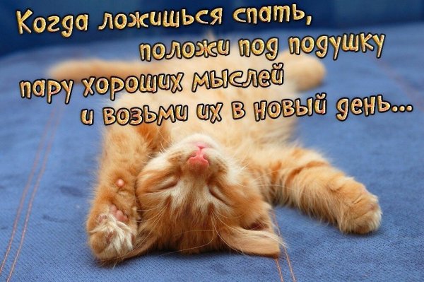 Спокойной ночи суббота