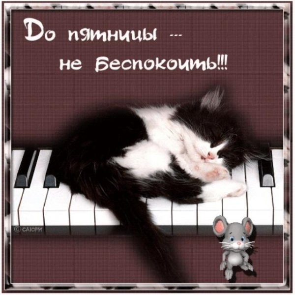 Открытки с пятницей
