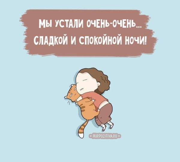Спокойной ночи смешные картинки