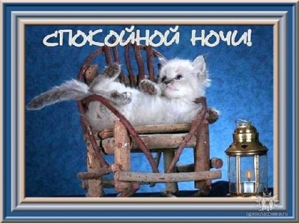 Спокойной ночи картинки прикольные