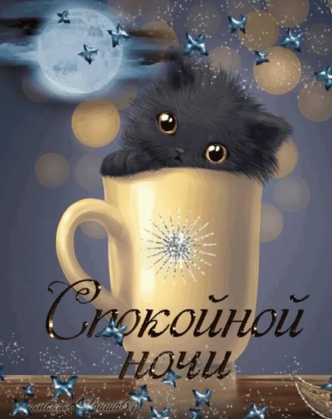 Спокойной зимней ночи