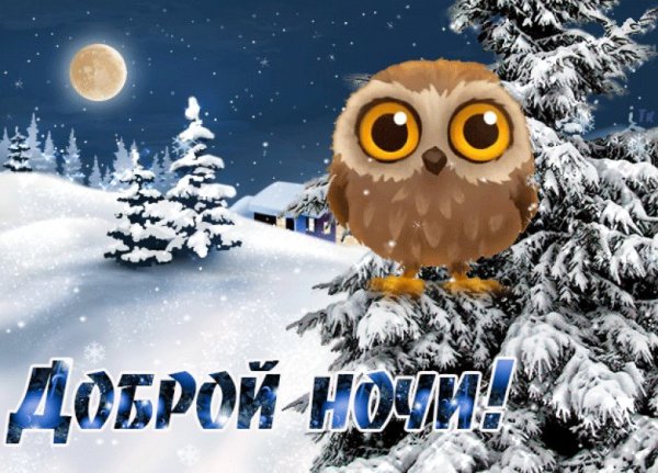 Спокойной ночи зимой