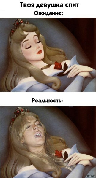 Спящая красавица прикольные