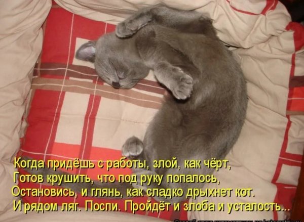 Открытки пришла с работы