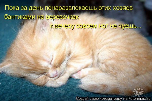 Спокойной ночи животные с надписью прикольные