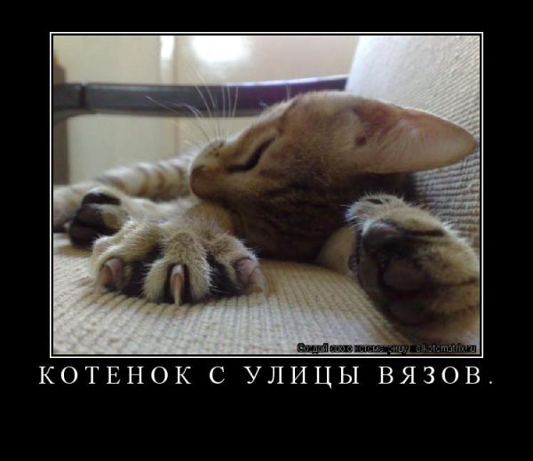 Сон после обеда