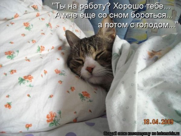 Доброе сонное утро