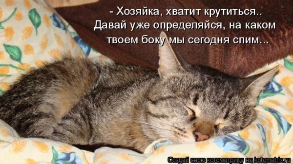 Спящий котик с надписью