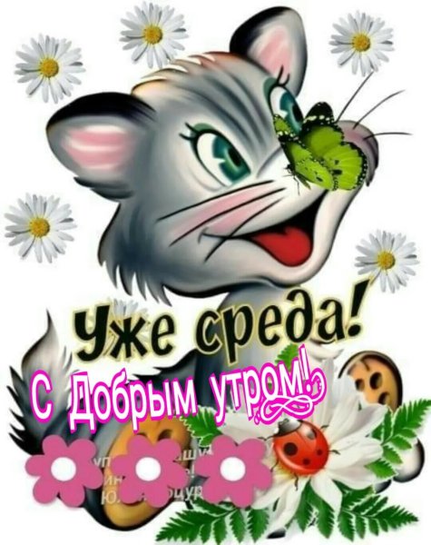 Доброе утро среды