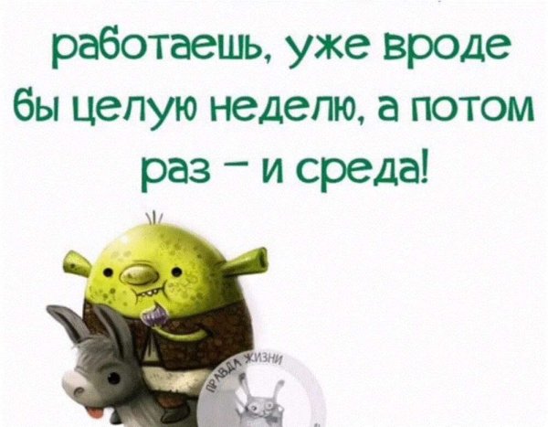 Среда цитаты