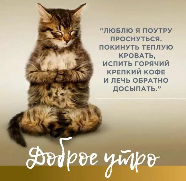 Открытки со средой прикольные