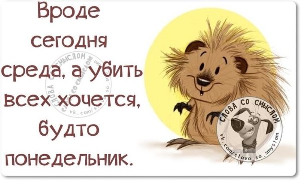Смешные фразы про среду