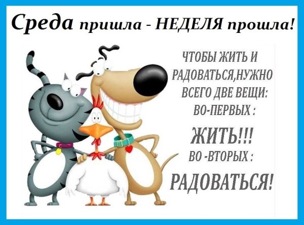 Весёлые открытки для поднятия настроения