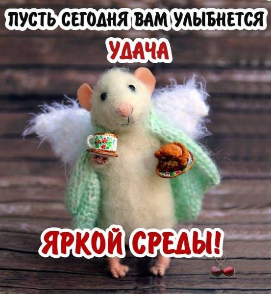 Открытки с добрым утром смешные