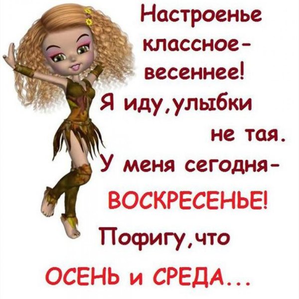 Смешные высказывания про среду