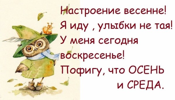 Афоризмы про среду смешные