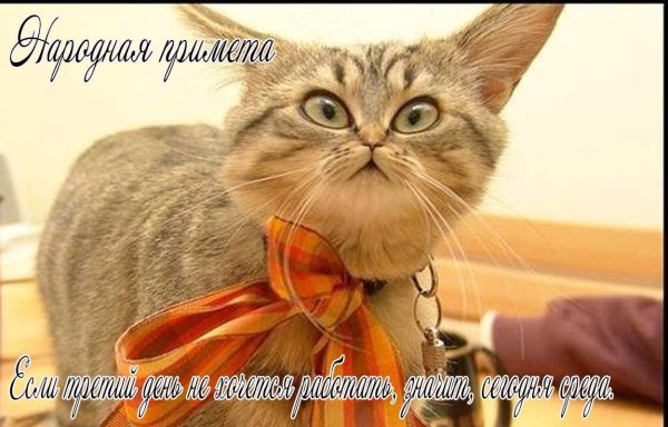 Открытки с добрым утром прикольные