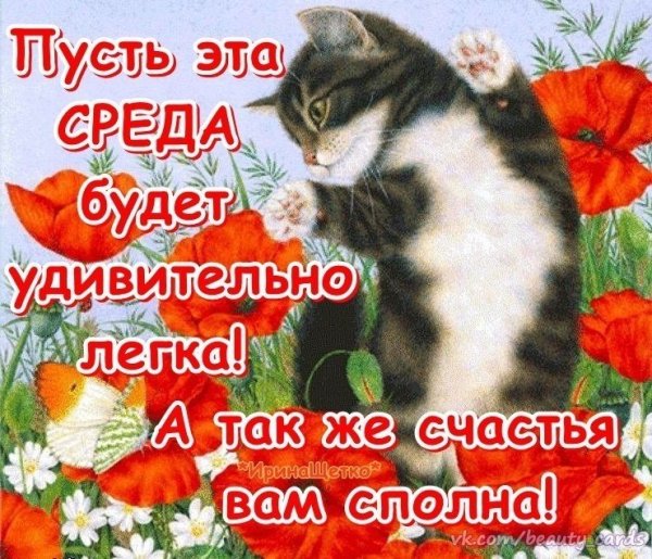 Пожелания на среду