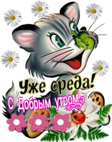 Доброе утро среды