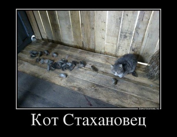 Стахановец прикол