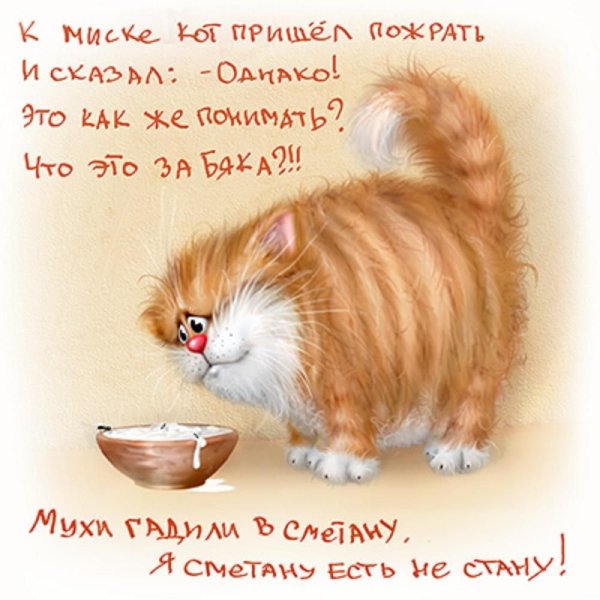 Забавные картинки с добрым утром