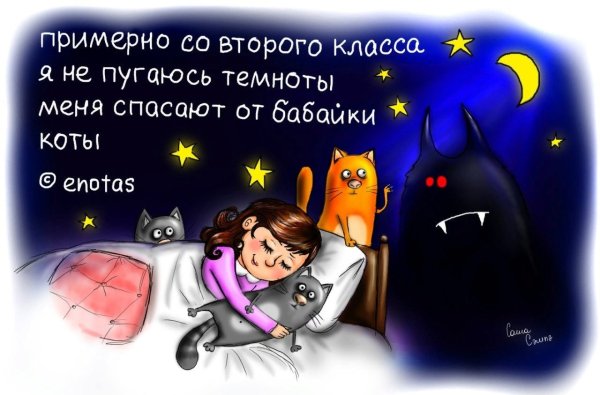 Смешные высказывания про ночь