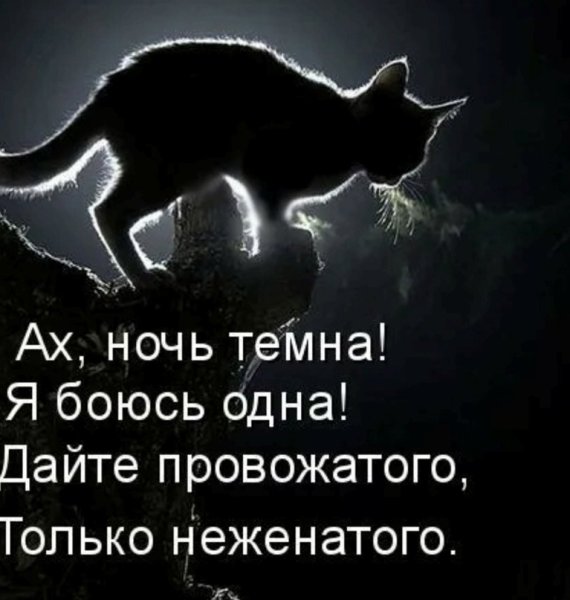 Прикольные фразы про ночь