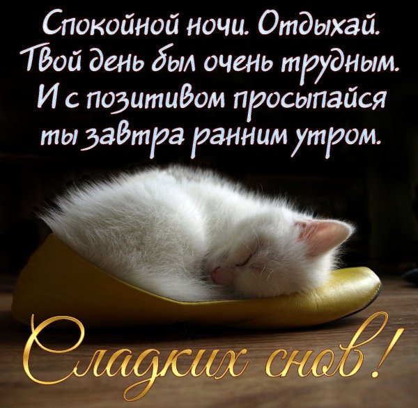 Спокойной ночи сладких снов