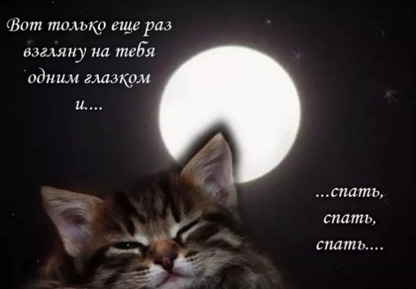 Сладких снов мужчине