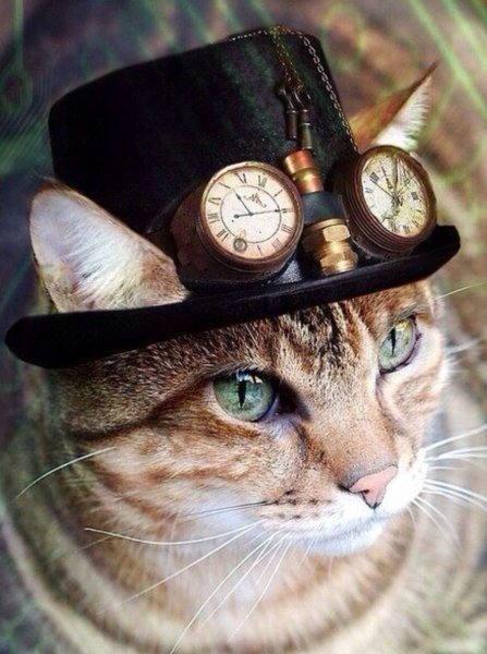 Steampunk кот