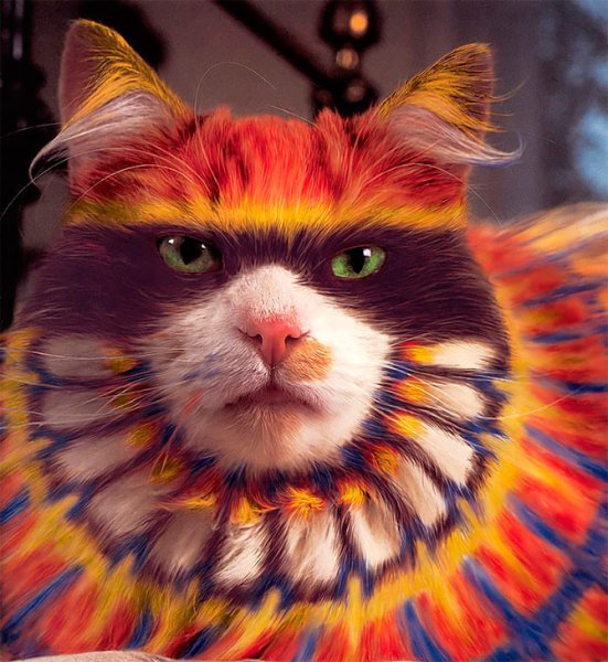 Разноцветная кошка