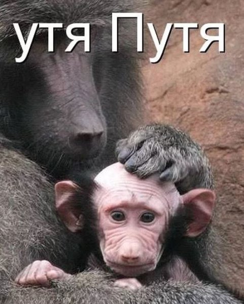 Приколы с надписями