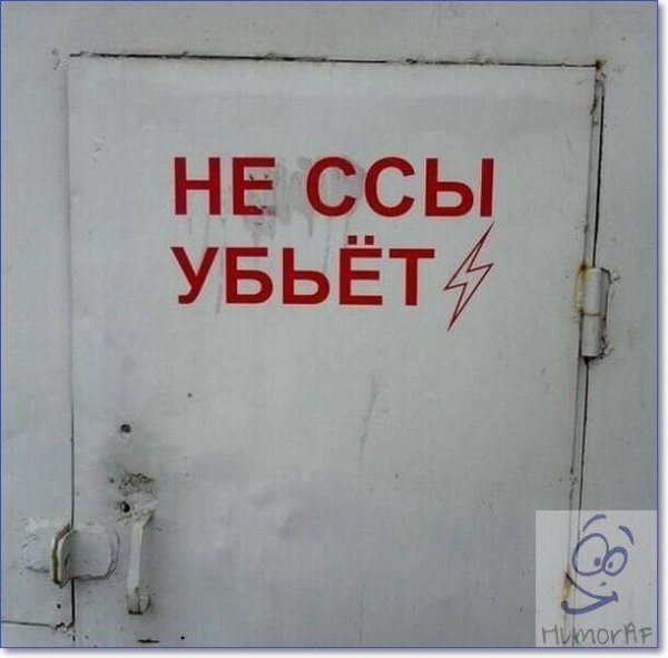 Смешные картинки с надписями
