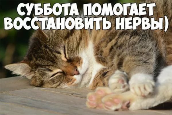 Суббота приколы