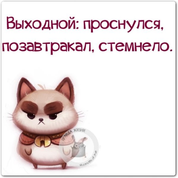 Смешные высказывания про воскресенье
