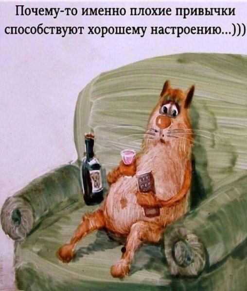 Ярышкин Анатолий художник коты