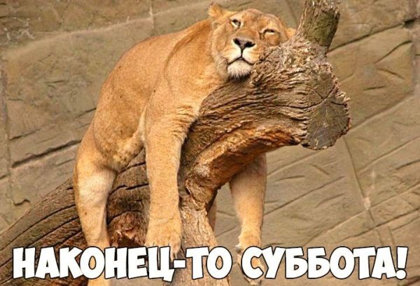 С субботой прикольные