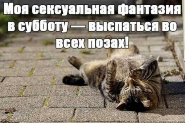 Веселые статусы про субботу