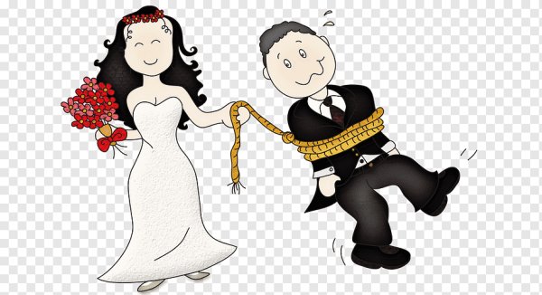 Свадьба жених и невеста