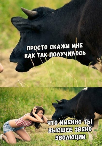 Смешанные картинки с надписями