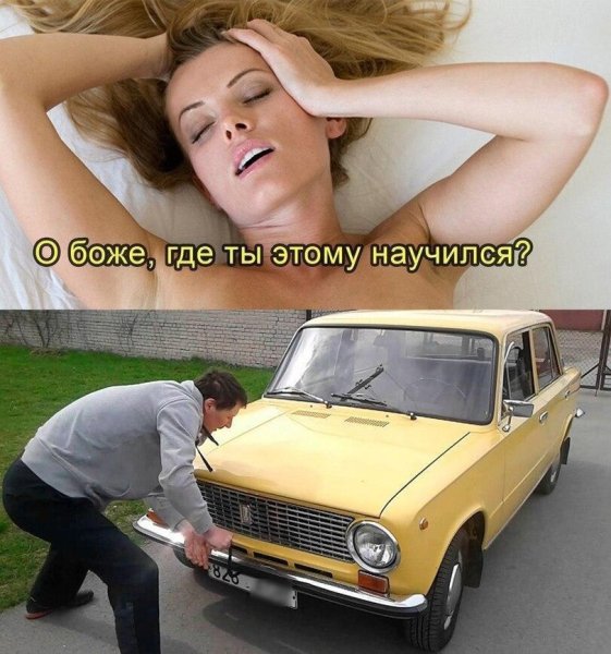 Смешная картинка для поднятия настроения