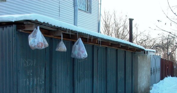 Такое может быть только в России приколы