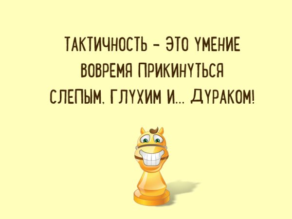 Смешные цитаты про дураков