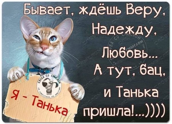 Смешные открытки