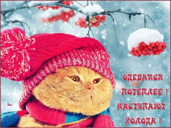 Открытка зимняя