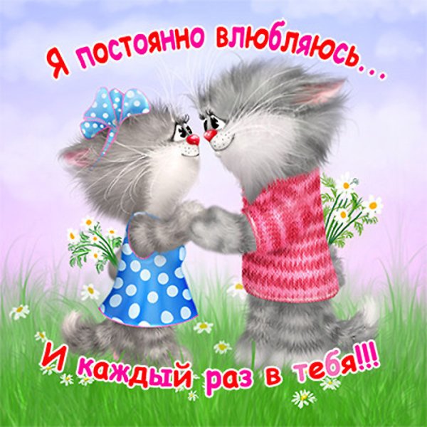 Открытки с котиками любимому