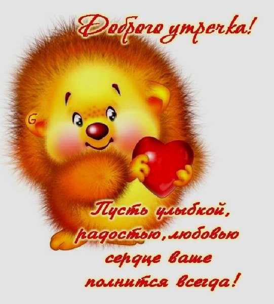 Открытки с добрым утром с Ёжиком