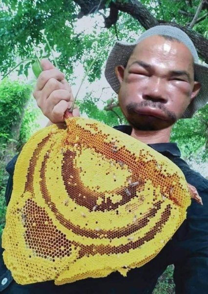 Ты пчела я пчеловод