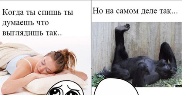 Мемы с надписями Угарные до слёз